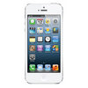 Apple iPhone 5 16Gb white - Белогорск